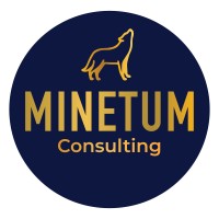 Minetum Consulting logo - Similar company to Media Driven Results, Llc