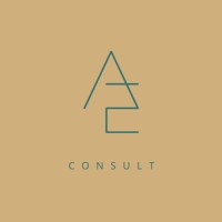 AE CONSULT logo - Similar company to Service&Sens