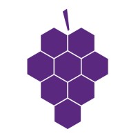 Üzüm Teknoloji A.Ş. logo - Similar company to Eksi16 Teknoloji
