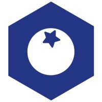 Blueberries Consulting logo - Similar company to Full Well Packaging Peru