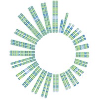 Soleno Therapeutics, Inc. logo - Similar company to Abeona Therapeutics