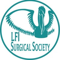 LF1 Surgical Society - First Faculty of Medicine, Charles University logo - Similar company to Ankihub