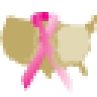 Sisters Network logo - Similar company to Touch, The Black Breast Cancer Alliance