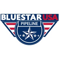 Bluestar USA , Inc. logo - Similar company to Frontier Environmental