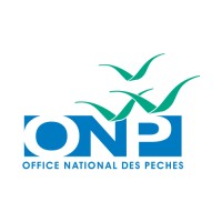 ONP logo - Similar company to Media Boost