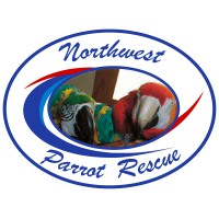NORTHWEST BIRD RESCUE & ADOPTION ORPHANAGE logo - Similar company to Native Bird Rescue