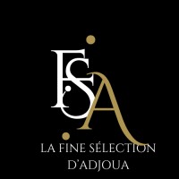 LA FINE SELECTION D'ADJOUA logo - Similar company to Visdomi