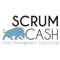 Scrum Cash logo - Similar company to Lead Technologies