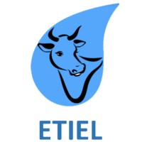 ETIEL Angola logo - Similar company to Plumex Angola