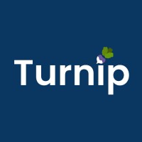 Turnip Talent logo - Similar company to Broadwing