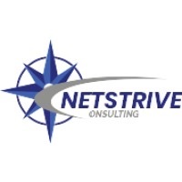 Netstrive Consulting logo - Similar company to Layer 7 Data Solutions
