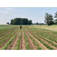 Purdue Agroecology Lab (PAL) logo - Similar company to Purdue Agronomy