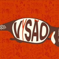 Vysão Mídia logo - Similar company to Site Negrê