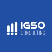 IGSO Consulting logo - Similar company to Igsoft