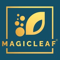 Magicleaf logo - Similar company to Recast Studio