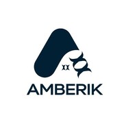 Amberik logo - Similar company to Ingetechx