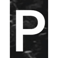 Pacer Agency logo - Similar company to Ruben