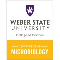 Weber State University