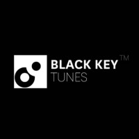 Black Key Tunes logo - Similar company to Twyla Treasures