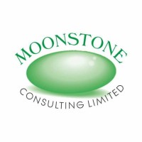 Moonstone Consulting Ltd. logo - Similar company to Maxibuy