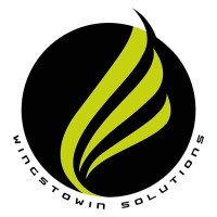 Wingstowin Solutions S.L. logo - Similar company to Goala Marketing