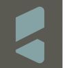 BAGIEx logo - Similar company to Rts Monaco