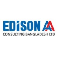 Edison AA Consulting Bangladesh Ltd logo - Similar company to Wiredtechus
