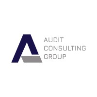 Audit Consulting Group SRL logo - Similar company to Tecnomac Systems