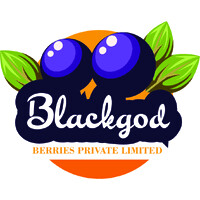 black god berries private limited logo - Similar company to Aw Technologies Pvt Ltd