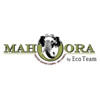 Mahoora by Eco Team logo - Similar company to Codesticth