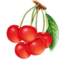 RED CHERRY PROJECTS LTD logo - Similar company to Conversec