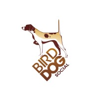 Bird Dog Social