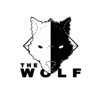 The Wolf srl logo - Similar company to Collaboriamo