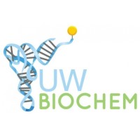 UWaterloo Biochemistry Student Association (BSA) logo - Similar company to Biochemistry, Microbiology, And Immunology Graduate Student Association