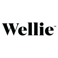 Wellie logo - Similar company to Jaco Transfer
