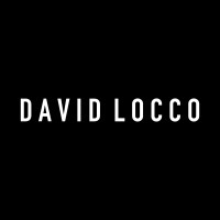 David Locco logo - Similar company to Fidus Mt Solution 