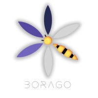 Borago Insights logo - Similar company to Discoverable