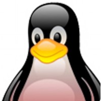 Red Hot Penguin