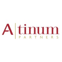Atinum Partners logo - Similar company to Chamaeleon
