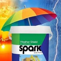 Spark Shine Paints logo - Similar company to Hustlehive Business Solutions