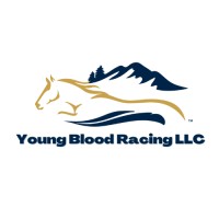 Young Blood Racing LLC logo - Similar company to Plutou