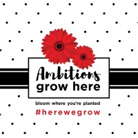 Ambition Performing Arts Inc.