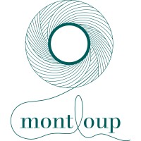 Montloup logo - Similar company to Dristex