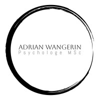 Adrian Wangerin - Coaching & Consulting logo - Similar company to Vivelia Online Trainings