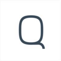 Quadric logo - Similar company to Loop Associates