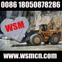Fujian Wei Sheng Machine Development Co.,Ltd. logo - Similar company to Fujian Dongmei Import & Export Co.,Ltd.