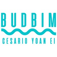 BUDBIM_CESARIO Yoan EI logo - Similar company to Synth&Bim