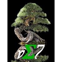 Ve7