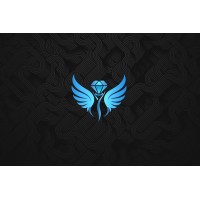 Paristan Gems logo - Similar company to Tsfp Official