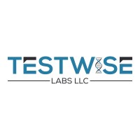 TestWise Labs LLC logo - Similar company to Scavasoft